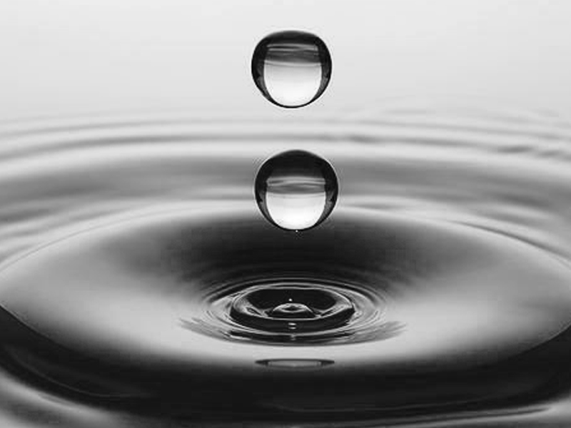 Valiants | Formazione